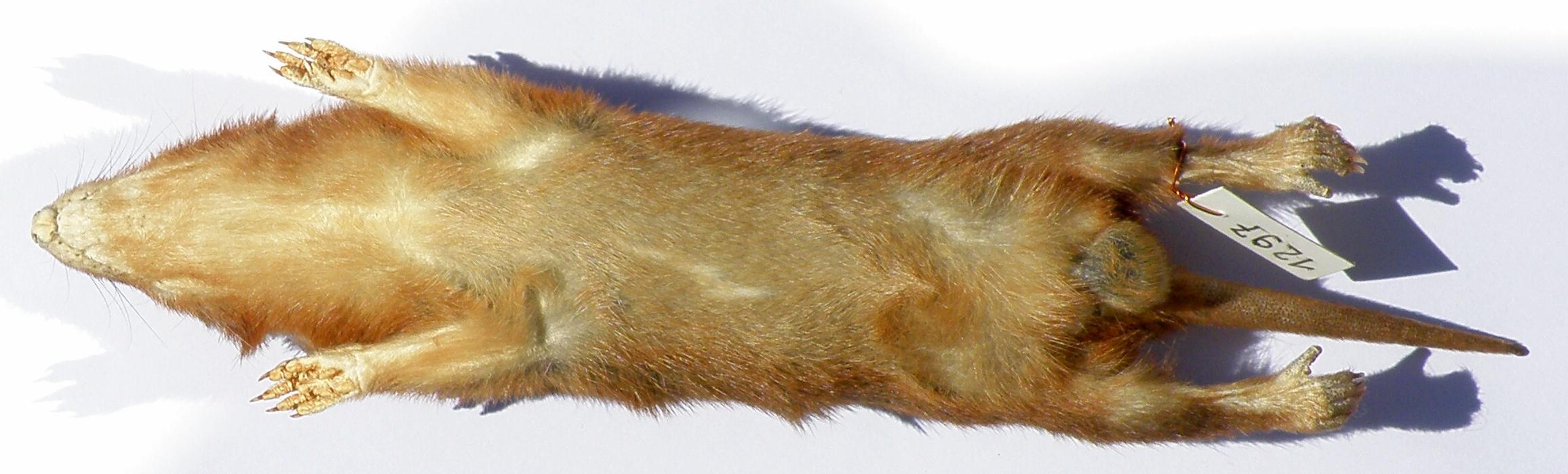 FIGURE 3 FIGURE 3